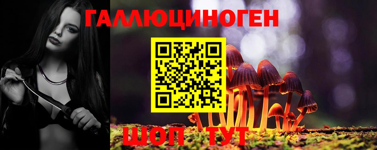 Моздок  Галлюциногенные грибы MAGIC MUSHROOMS  Вход с VPN  Псилоцибиновые грибы MAGIC MUSHROOMS 